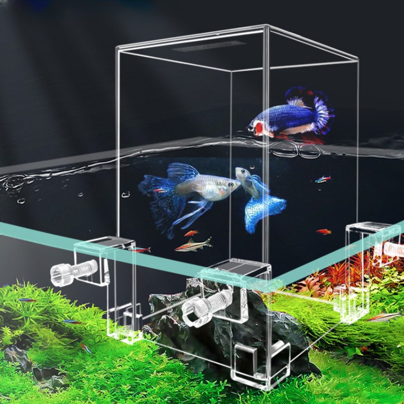 Plant Aquarium Pot - Tangki akuarium kreatif, tangki ikan tekanan
