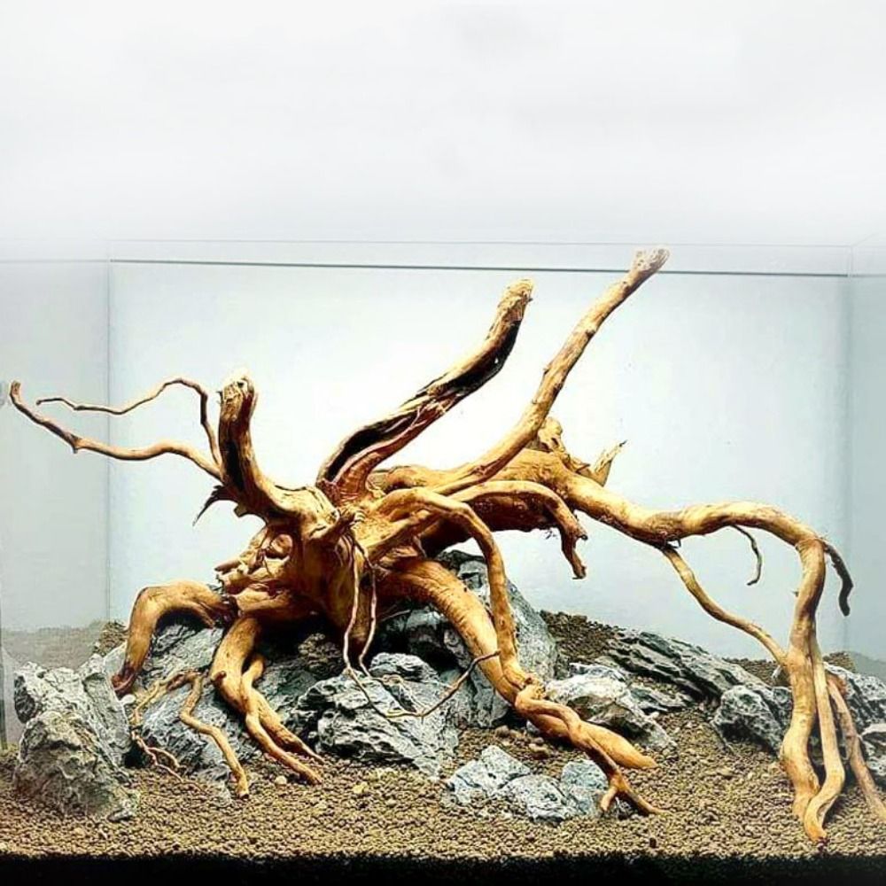 Aquarium Driftwood - Kayu Apung Akuarium Besar 20-25CM, Dekorasi