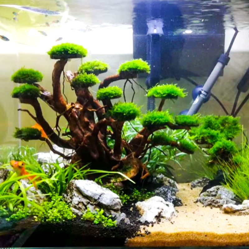 Aquarium Plant Substrate - Dekorasi akuarium, hiasan pohon lumut, kerangka