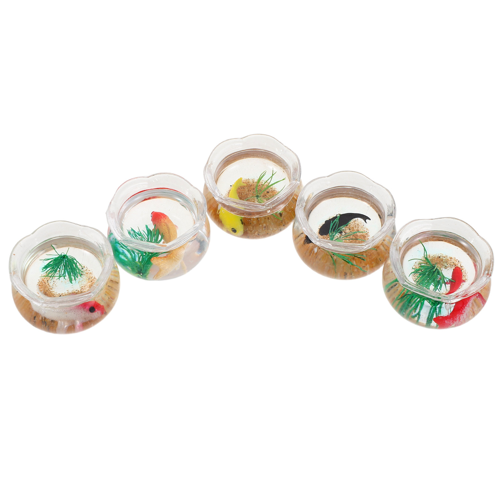 Planted Tank - 5 buah Akuarium Ikan Koi Miniatur: