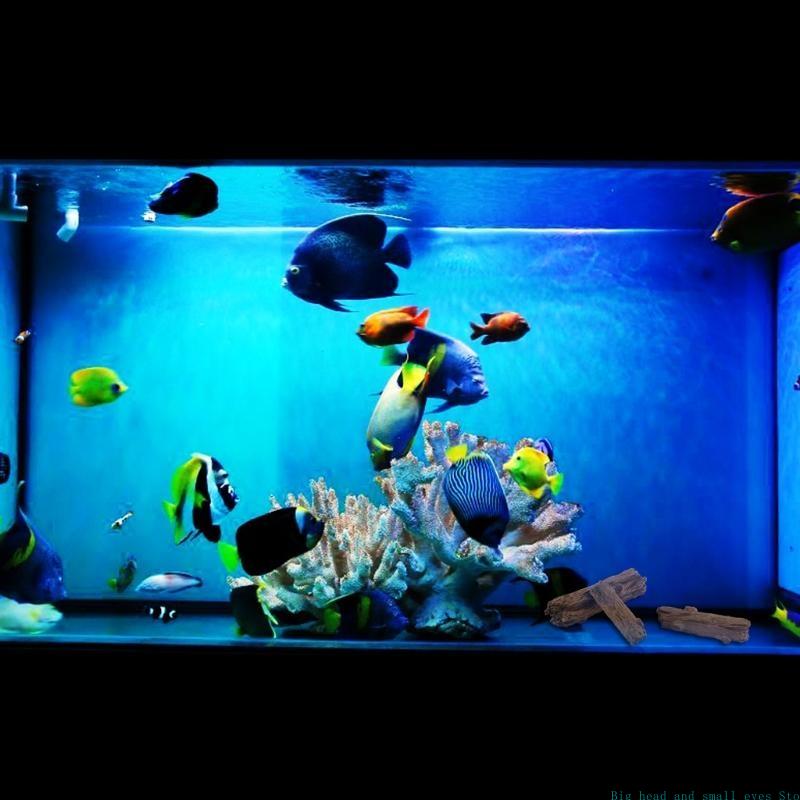 Dekorasi Akuarium Batang Pohon - Aquarium Plant Substrate ulasan dan harga