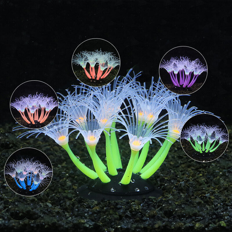 Silikon Bercahaya untuk Lanska - Live Plant Aquarium ulasan dan harga