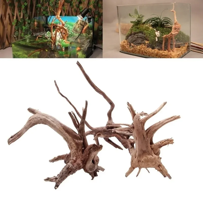 Pohon alami kayu apung akuariu - Aquarium Plant Substrate ulasan dan harga