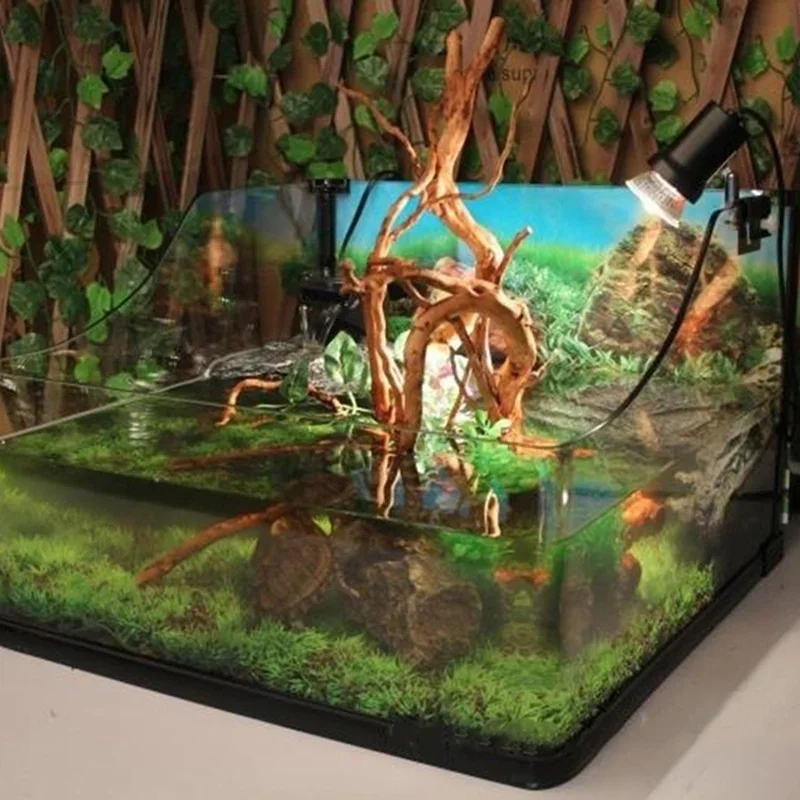 Pohon alami kayu apung akuariu - Aquarium Plant Substrate ulasan dan harga