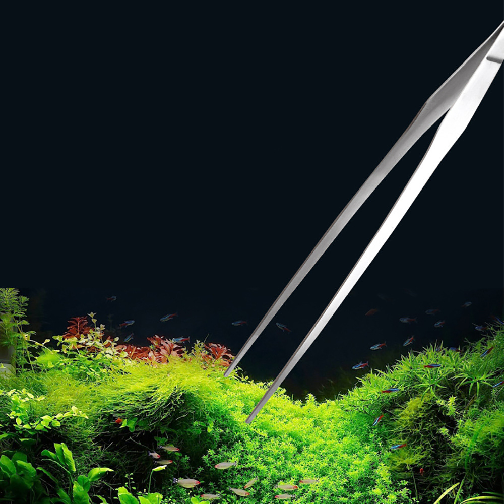 Aksesoris akuarium baja antika - Planted Aquarium Cleaning ulasan dan harga