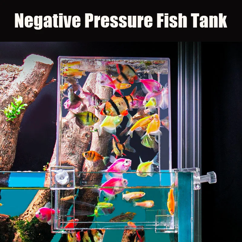 Tangki akuarium kreatif, tangk - Plant Aquarium Pot ulasan dan harga