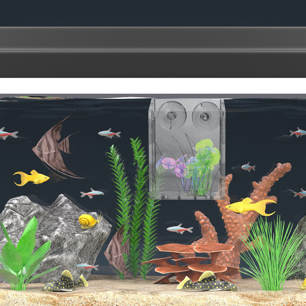 3 Buah Wadah Tanaman Akuarium, - Plant Aquarium Pot ulasan dan harga