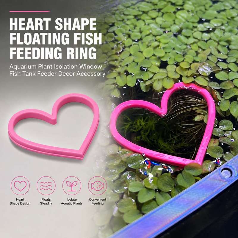 Cincin Pemberi Makan Ikan Bent - Aquarium Fertilizer ulasan dan harga