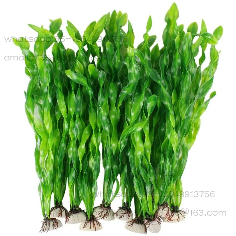 5/10 Buah Tanaman Akuarium Pla - Planted Tank ulasan dan harga