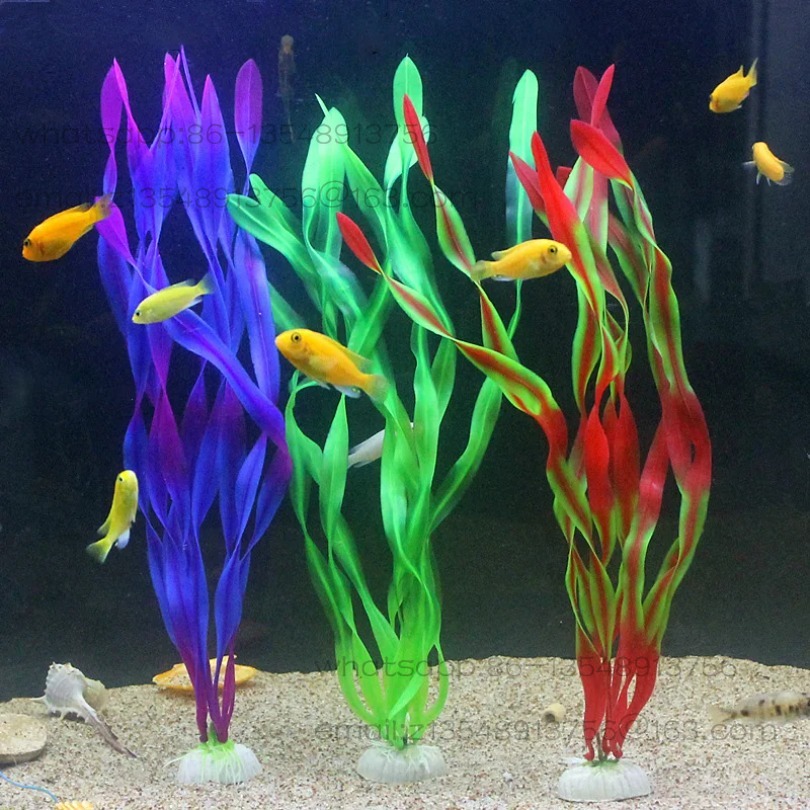 5/10 Buah Tanaman Akuarium Pla - Planted Tank ulasan dan harga