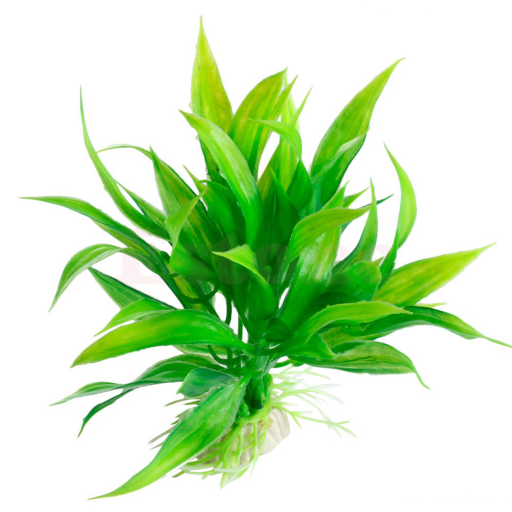 15CM/10CM Ornamen Tanaman Air  - Live Plant Aquarium ulasan dan harga