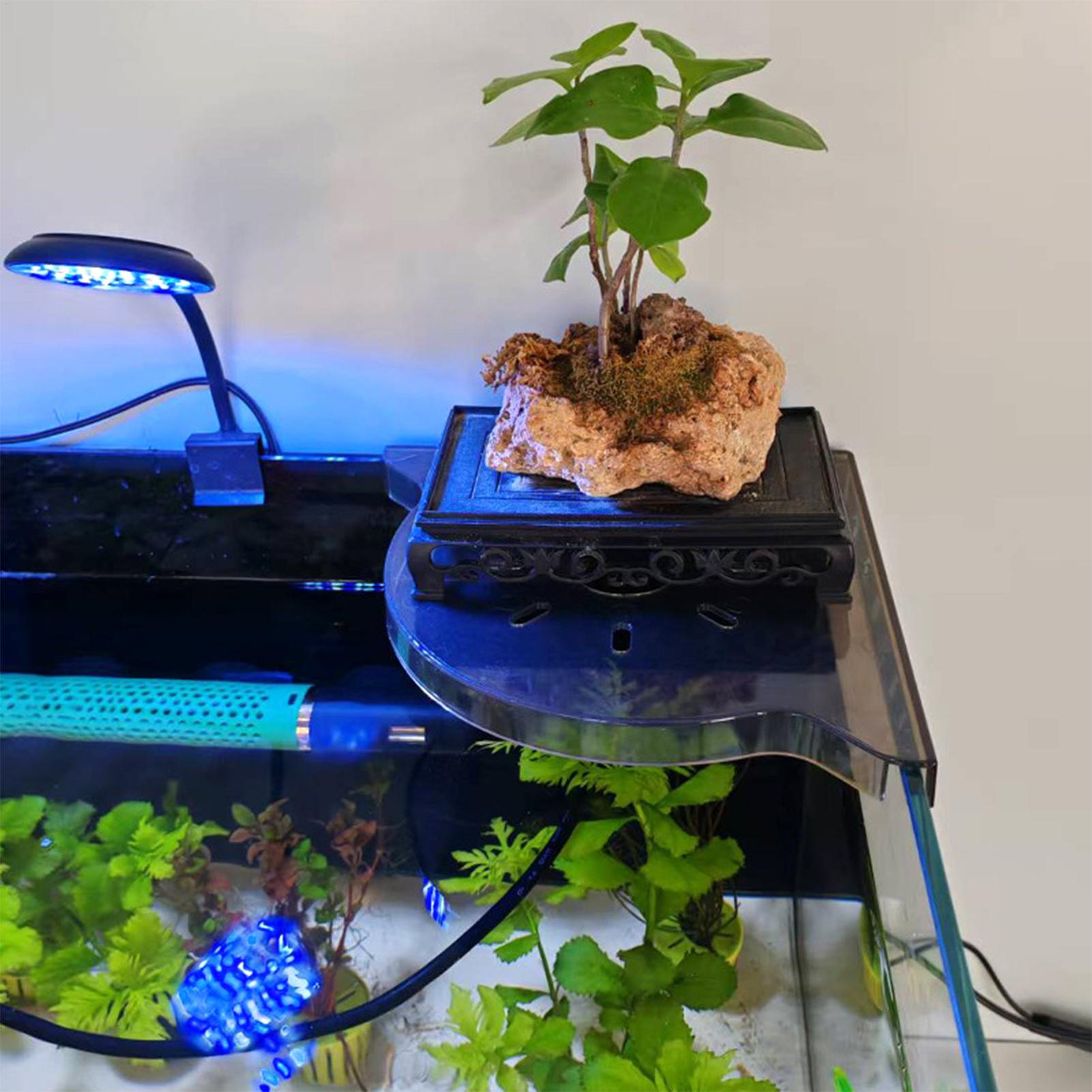Rak Penyimpanan Sudut Akuarium - Aquarium Plants Live ulasan dan harga