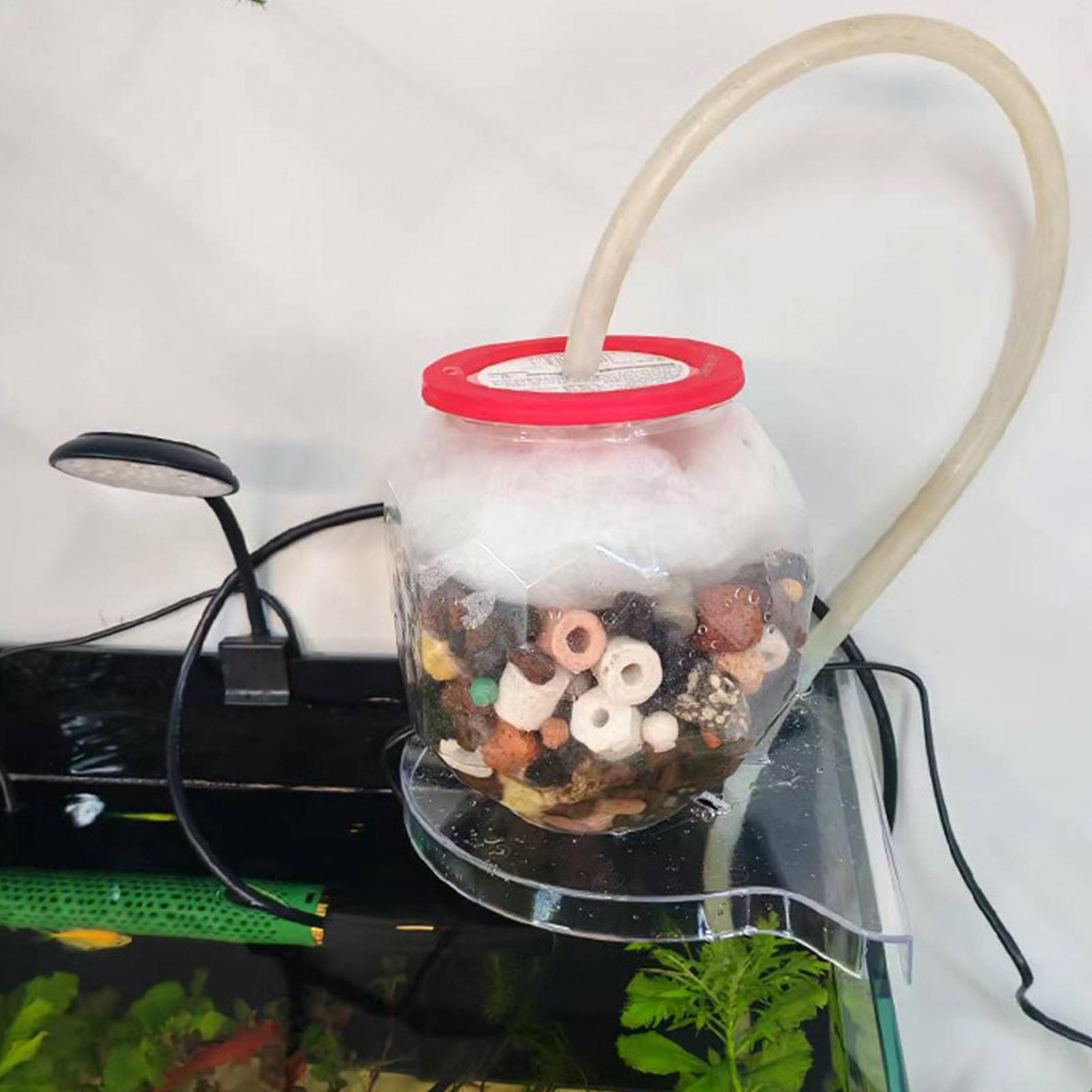 Rak Penyimpanan Sudut Akuarium - Aquarium Plants Live ulasan dan harga