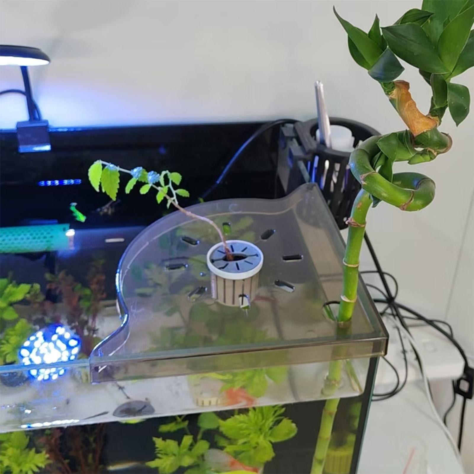 Rak Penyimpanan Sudut Akuarium - Aquarium Plants Live ulasan dan harga
