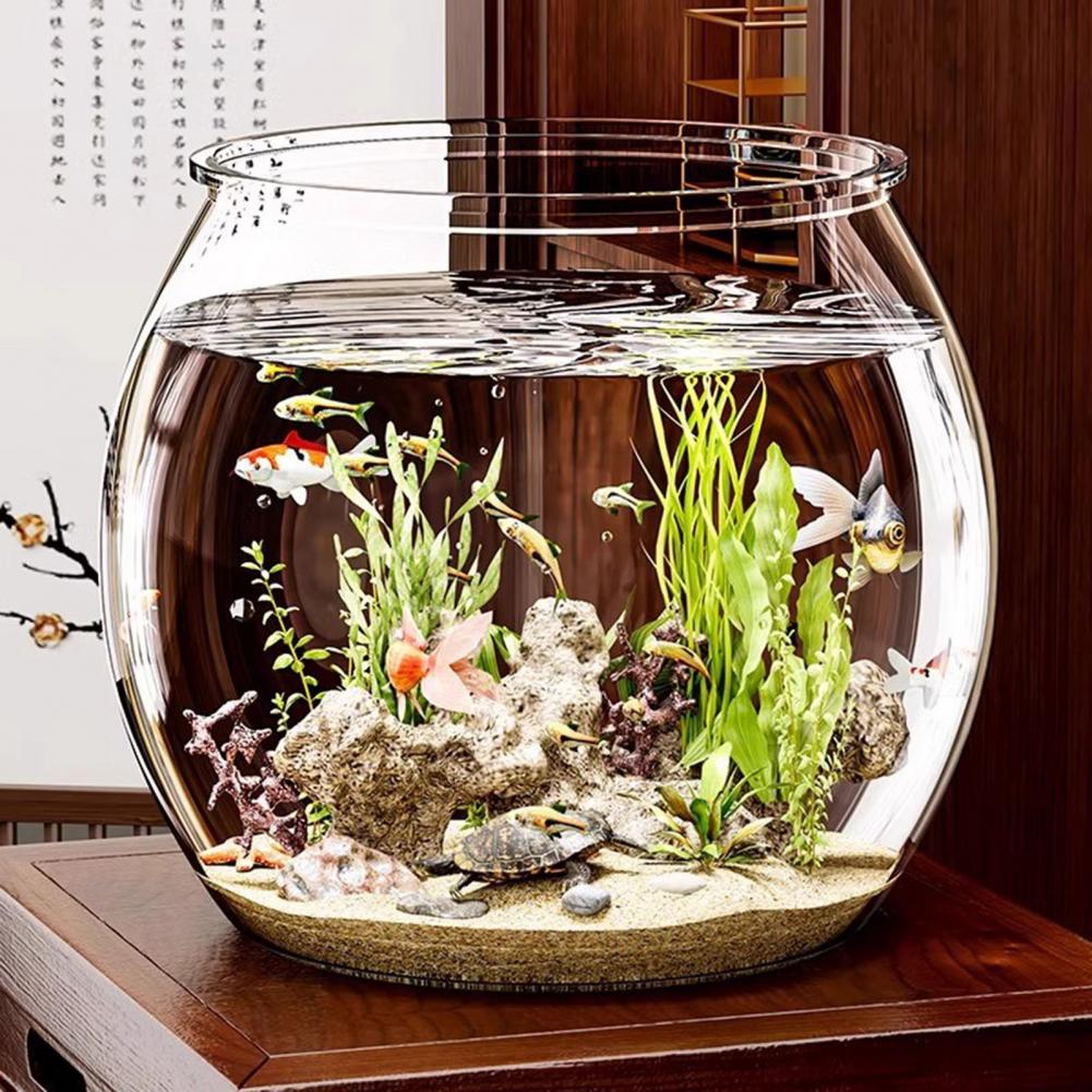 Plastik Bening Bulat Mangkuk I - Plant Aquarium Pot ulasan dan harga