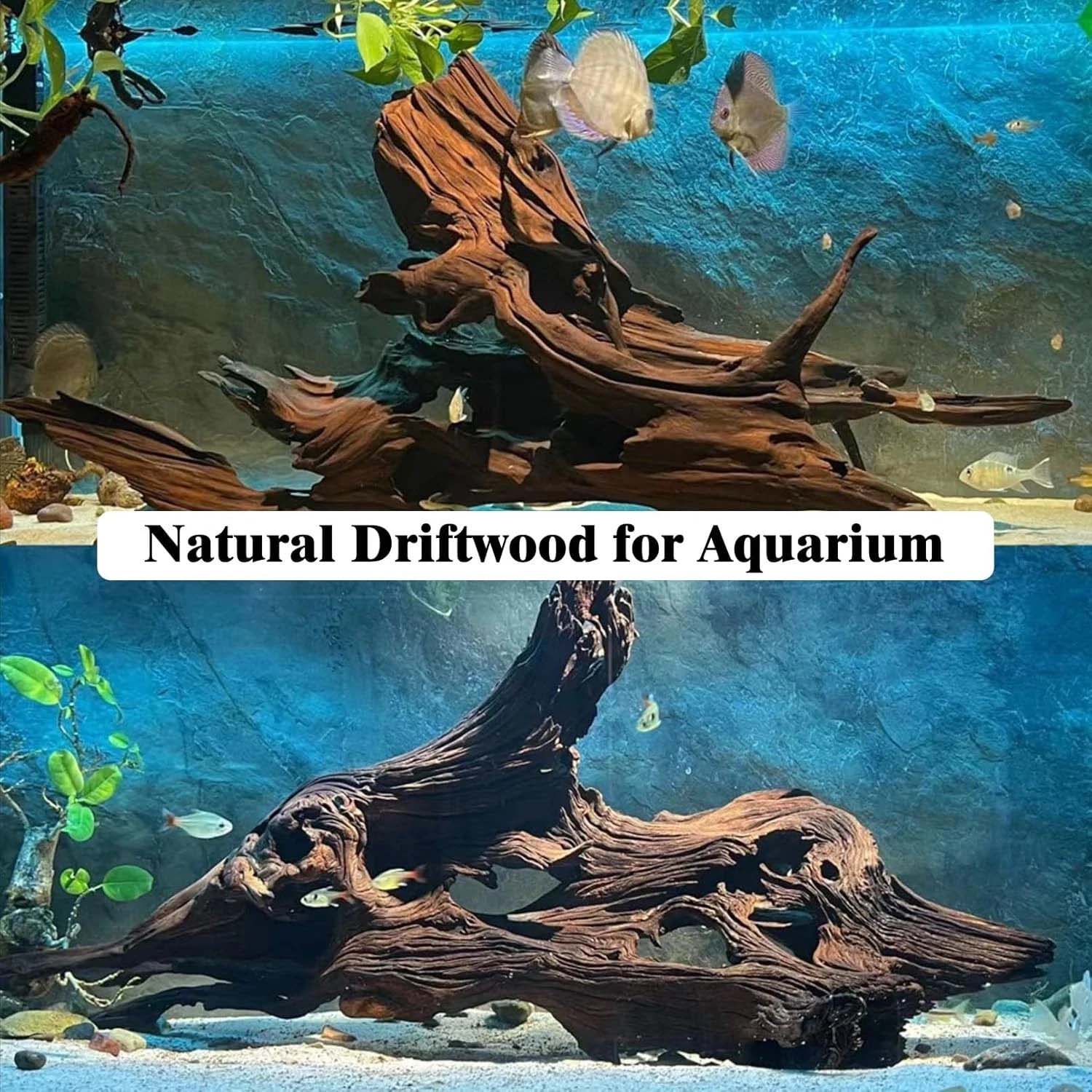 15-20CM 1Pc Dekorasi Terumbu K - Aquarium Plant Substrate ulasan dan harga