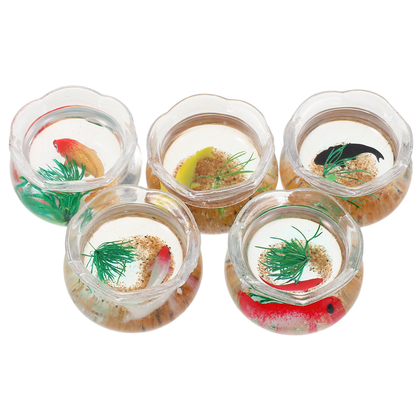 5 buah Akuarium Ikan Koi Minia - Planted Tank ulasan dan harga