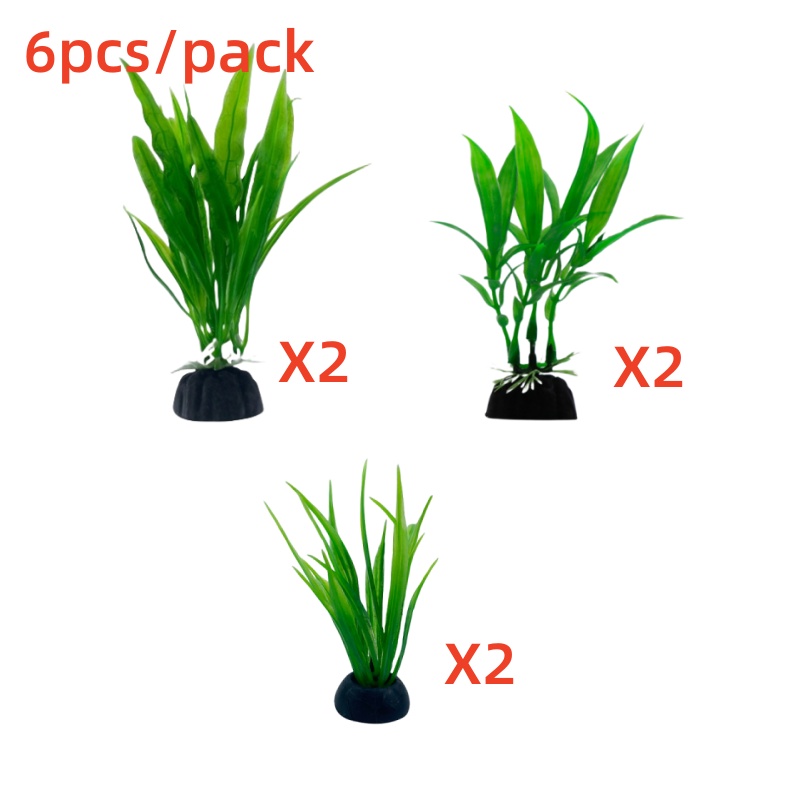 6 buah Paket Tanaman Akuarium, - Live Plant Aquarium ulasan dan harga